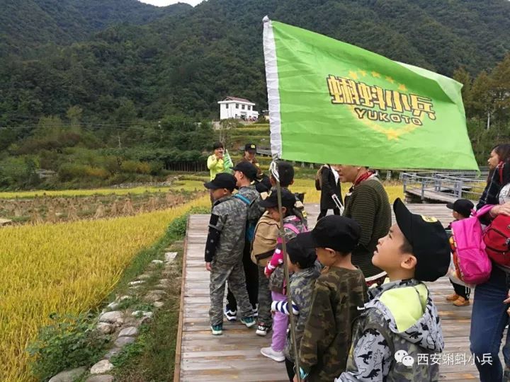 台山台城最新招聘信息，探索自然之旅，寻找内心的平静之路