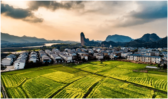 邹平划市最新消息，探索自然美景，寻找内心的平静之旅