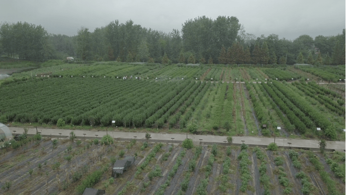 湖南高科技助力抗灾救灾，科技引领生活新篇章