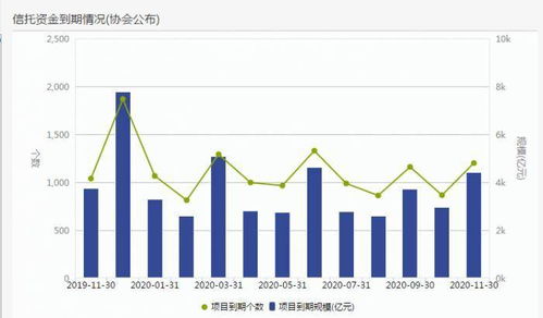 期货公司最新规模排名，心灵与自然的美景之旅同步展开