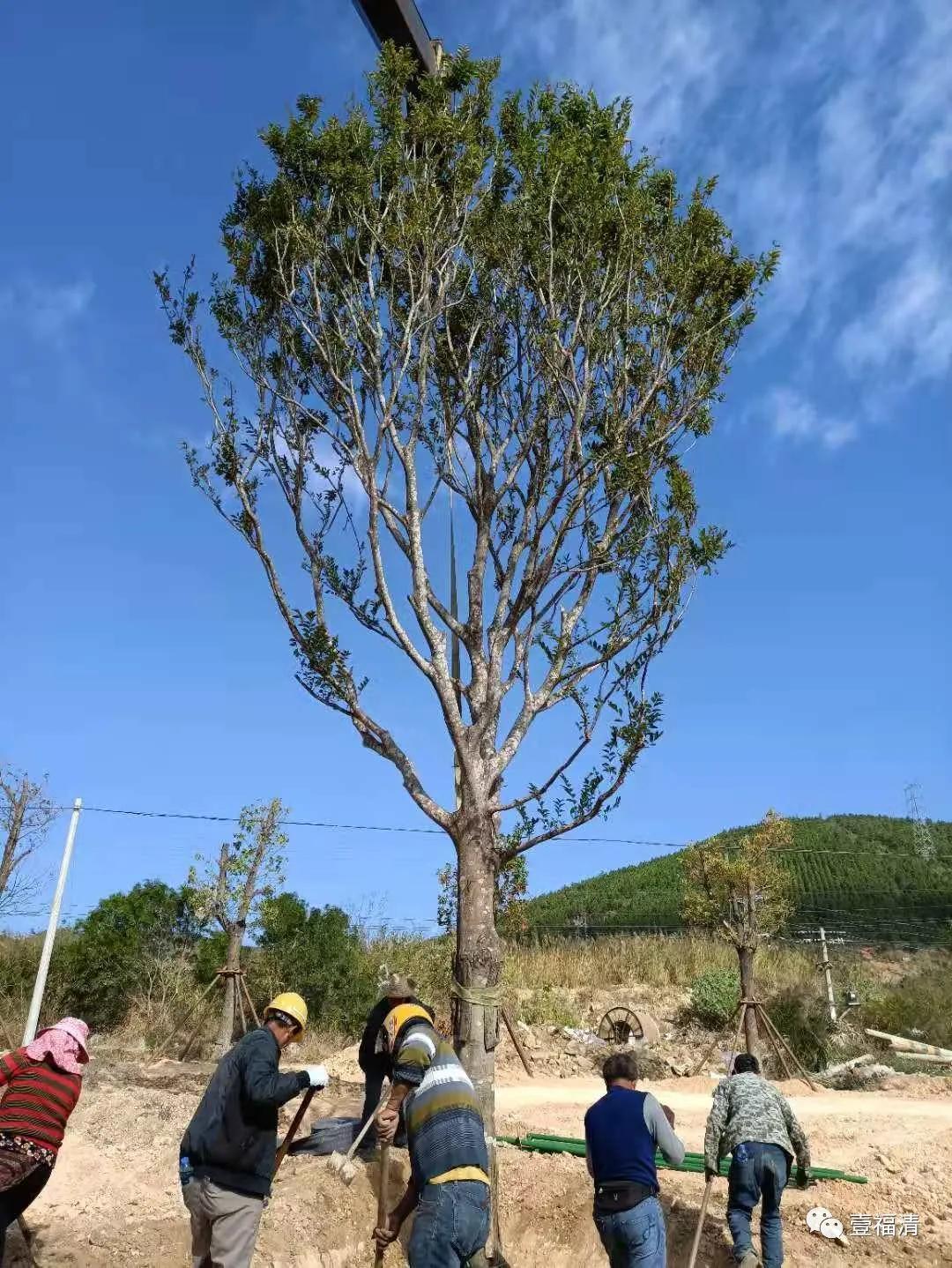 福清环城路最新消息,福清环城路的蜕变之路，最新消息及其影响分析