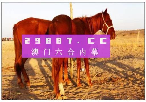 新奥门4949正版大全大众网,深入挖掘解释说明_CJG85.320商务版