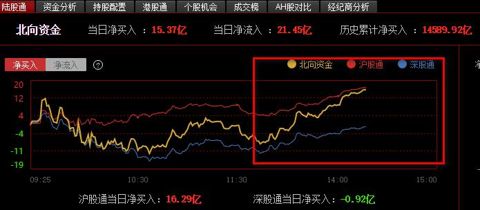 关于代码002494的最新消息全面解析与解读