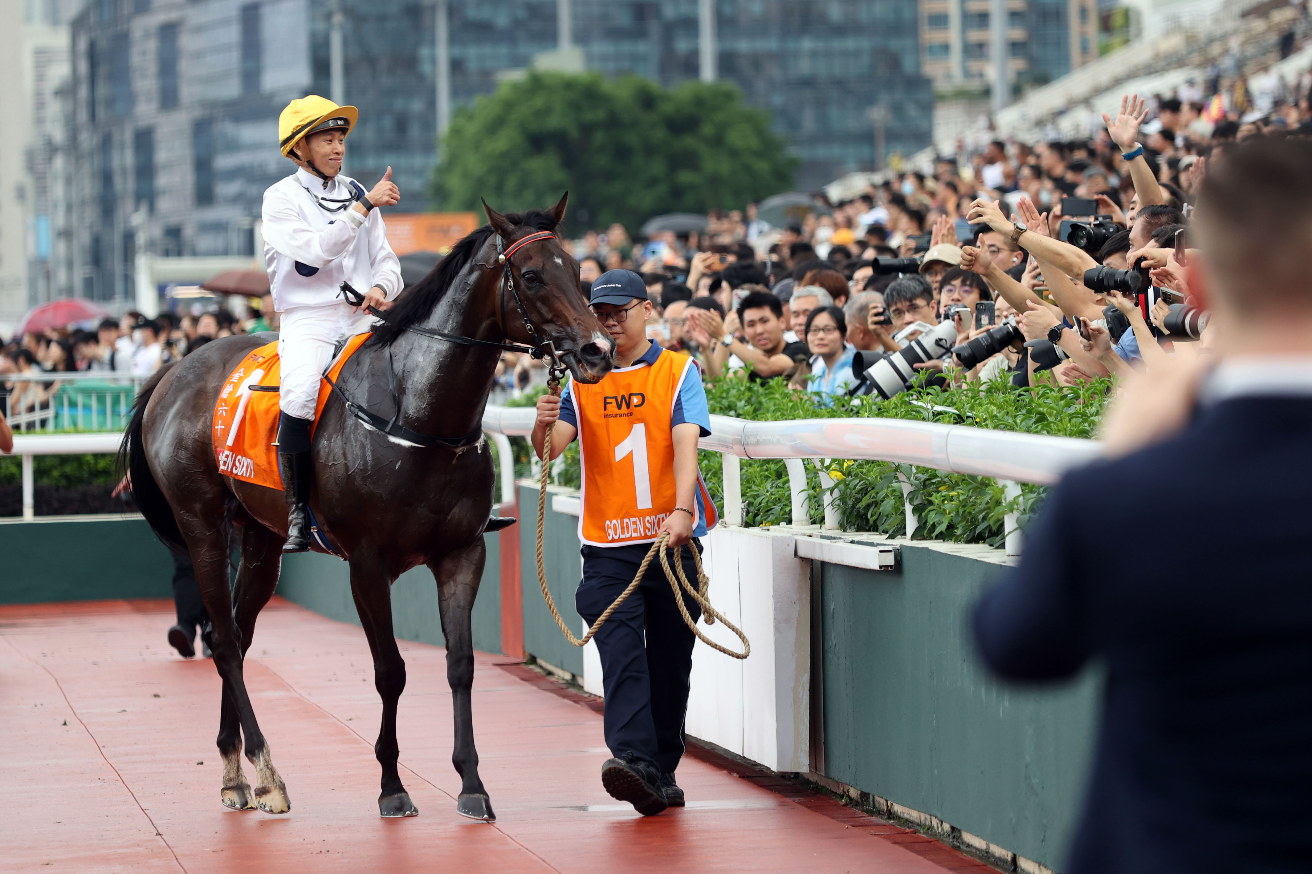 2024香港赛马全年免费资料,社会承担实践战略_互助版81.193