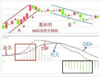 股票的本质深度解析，心灵与自然的探索之旅