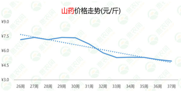 山药价格最新行情揭秘，掀起好奇心，探究市场走势！